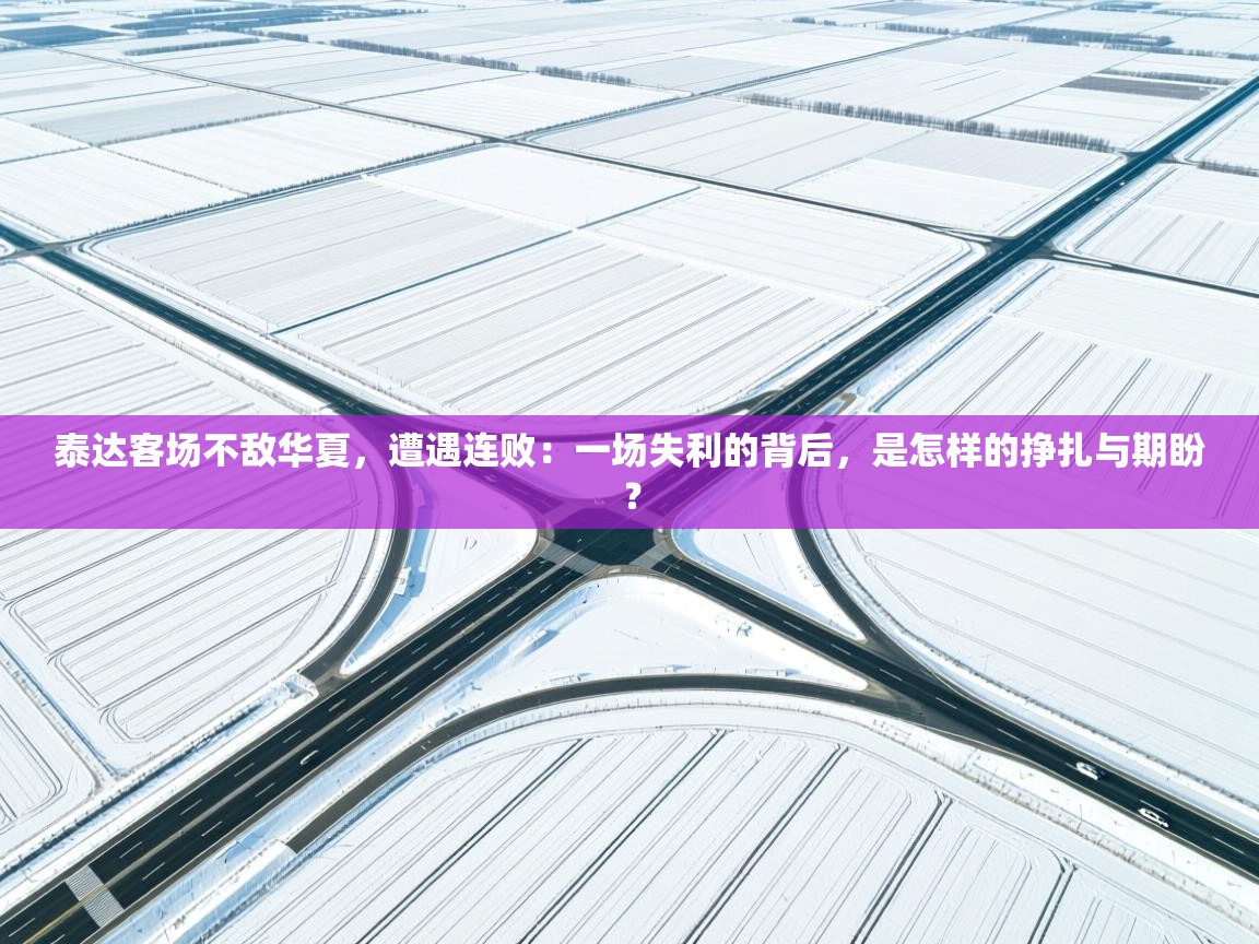 泰达客场不敌华夏，遭遇连败：一场失利的背后，是怎样的挣扎与期盼？