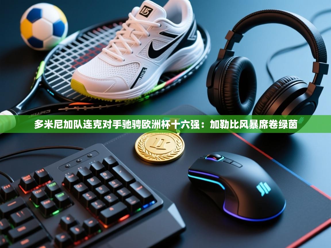 多米尼加队连克对手驰骋欧洲杯十六强:加勒比风暴席卷绿茵 第1张