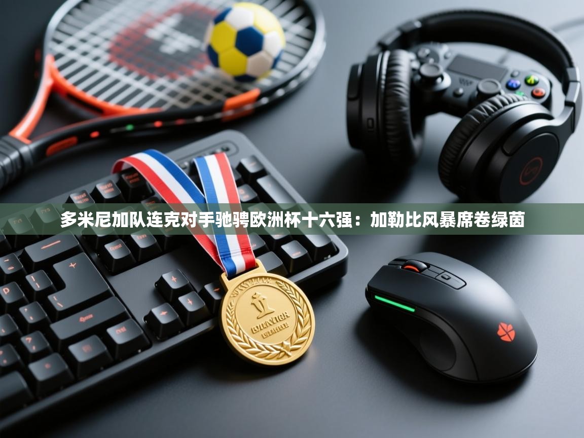 多米尼加队连克对手驰骋欧洲杯十六强:加勒比风暴席卷绿茵 第2张